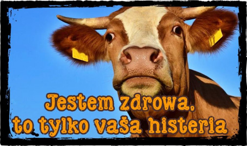Veterinaria polska